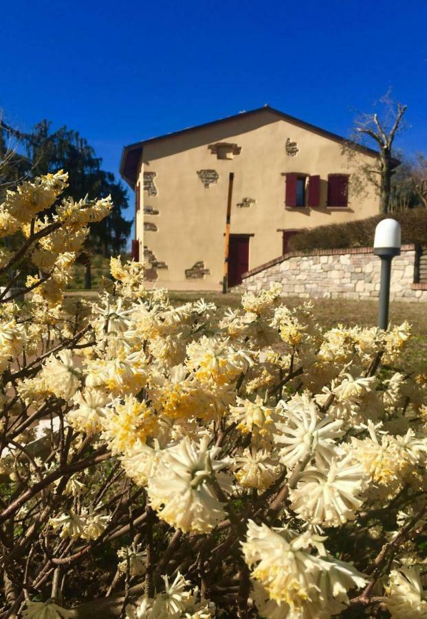 Rosy25 Hotel San Michele  Kültér fotó
